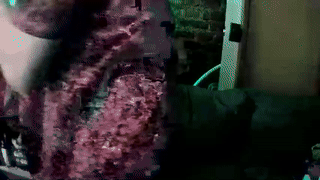 twogirls2boys animated gif teaser