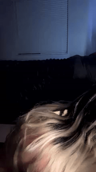 dariaa_doll animated gif teaser