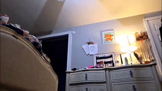 night__prince animated gif teaser