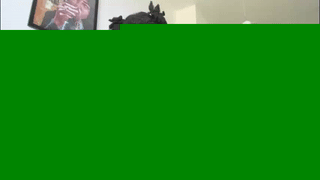 eliizabeth_roberts animated gif teaser