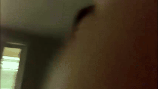 cherry_vale animated gif teaser