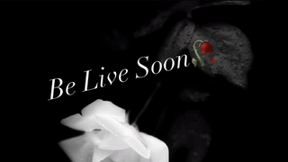 evelyn_evyy animated gif teaser