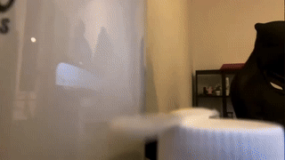 zoeyknowsbest animated gif teaser