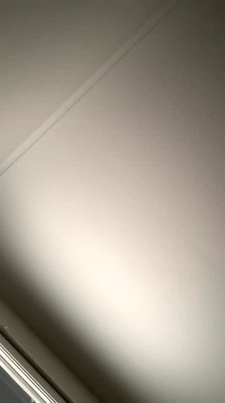 sweetrevengelol animated gif teaser