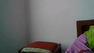 elculiador2207 animated gif teaser