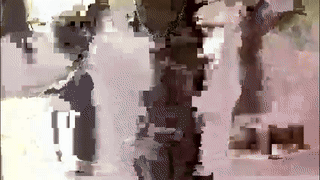 hoverday animated gif teaser