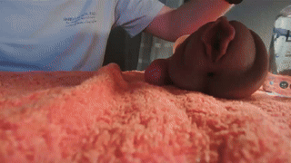 lajose52 animated gif teaser