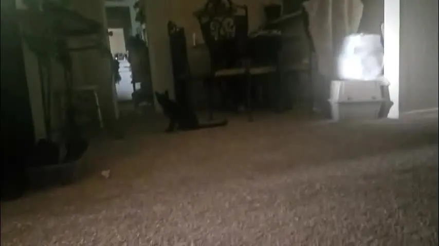 cactusbald817 — MISS K HOTTEST GILF IS BACK | PRIVATE SPECIALS #fuck #blowjob #gilf #milf #party #