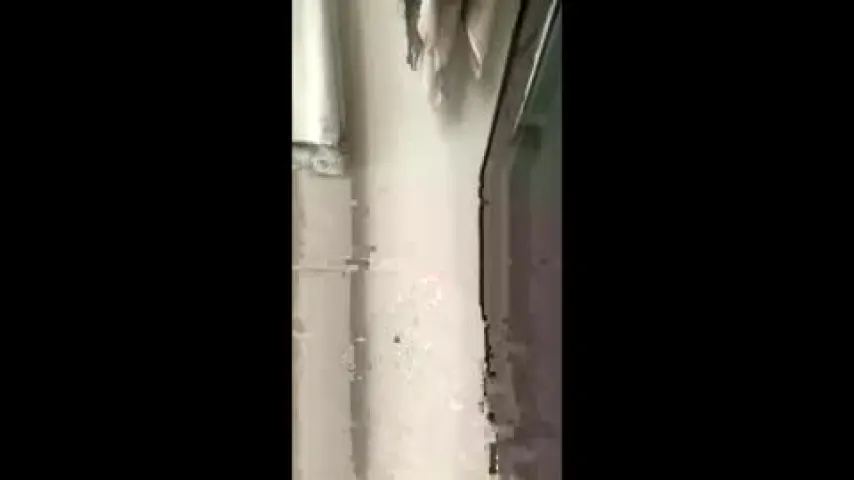 dplovesu — Dplovesu's room #cock #alwayshorny #teaseme #horny #playwithme