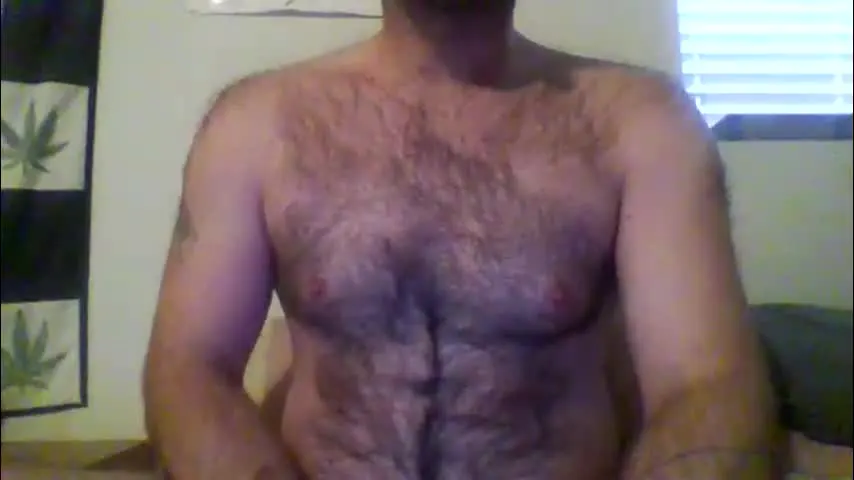 faceforyourbutt — Make me cum all over my hairy chest #hairy #bigdick #thick #anal #dadbod #squirt #cum [480 tokens remaining]