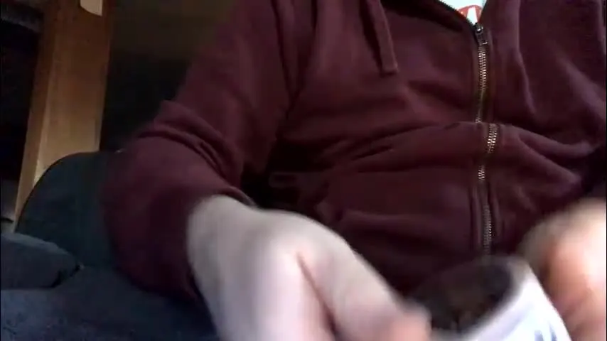 jawssharkparty — Jaws ❤️ 2 Skull Fuck your Pleasure Centers / I Have a #bigdick 🍆 So #slut 🤤 #obey ME until I #cum In Your Brains!!!