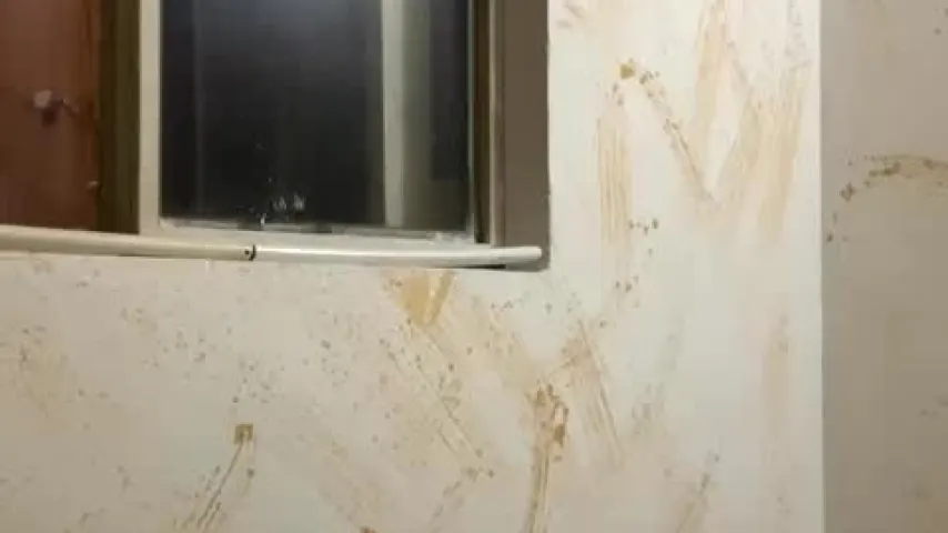 nike200465 — nike200465