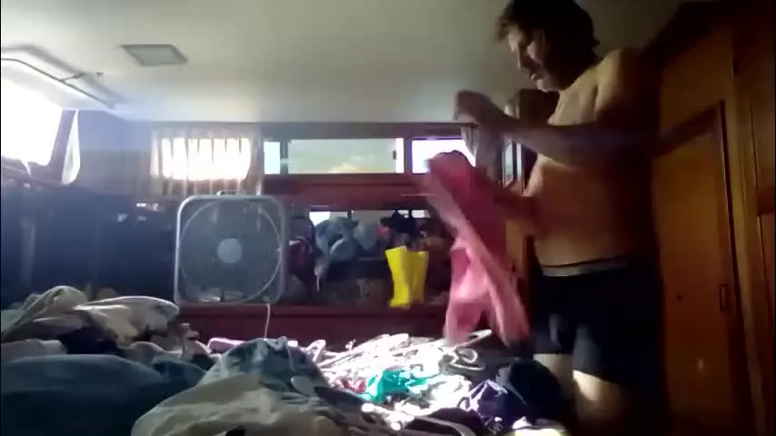 pavonesplash — Pavone splash