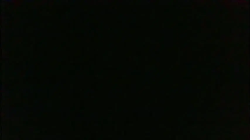 sanelie09 — sanelie09