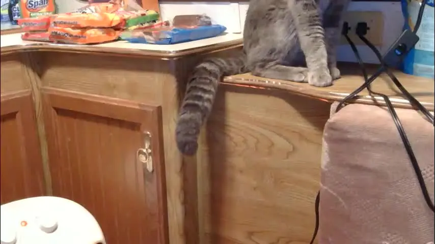 x2kayx2 — a home [4380 tokens remaining]