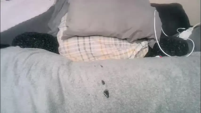 lovestobeused2 — enjoy my body FREE C2C 6tkn pvt #bbc #bigcock #anal #twink #gay