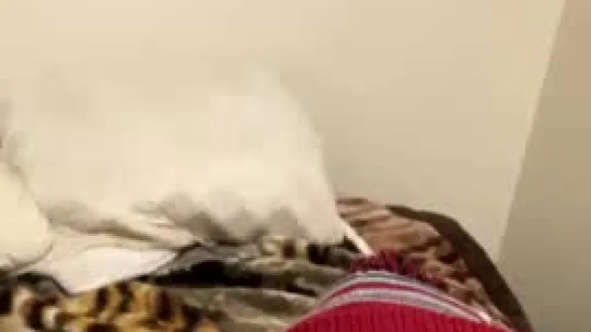 bamarob29 — bamarob29