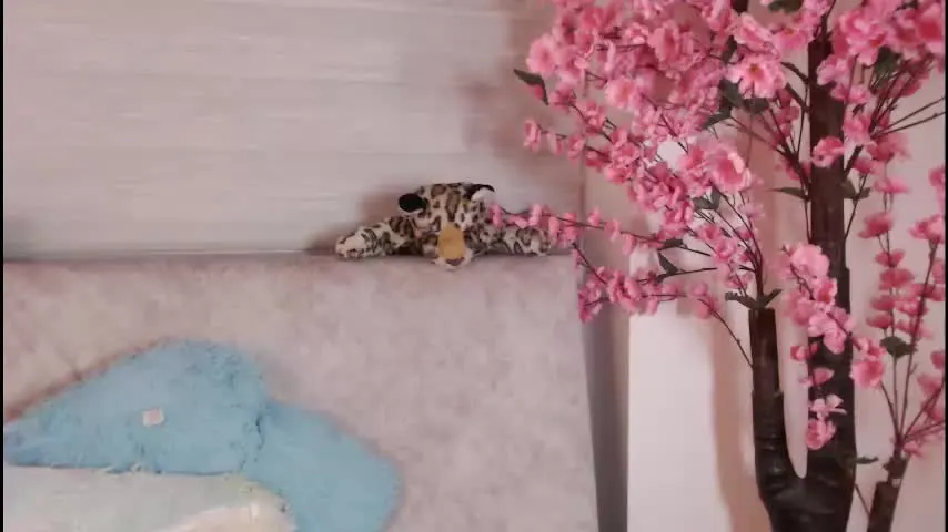 aliicefm — GOAL: Rub cream on my breasts 💦❤️‍🔥 [6 tokens remaining] ❤️‍🔥Here you play with the tension until it burns ❤️‍🔥 #bigtits #blonde #fuckmachine #tease #blowjob #pvt #lovense #anal