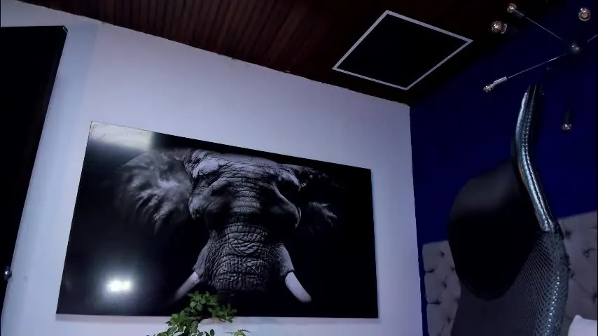 king_falconer — GOAL: CUM SHOW [1200 tokens remaining] Welcome to the King’s room! #muscle #latino #bigcock #young #new