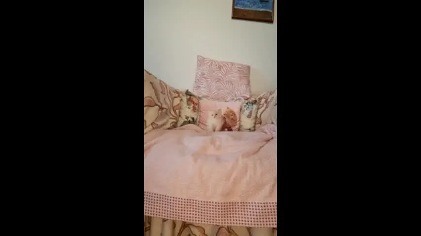 philos1979 — philos1979