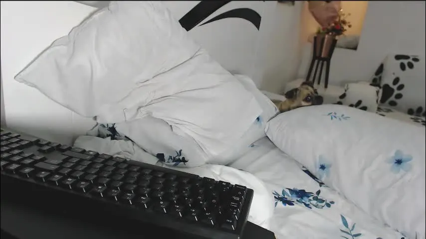 yinaross — trans #latina #show pvt cum #roll the dice #lovense