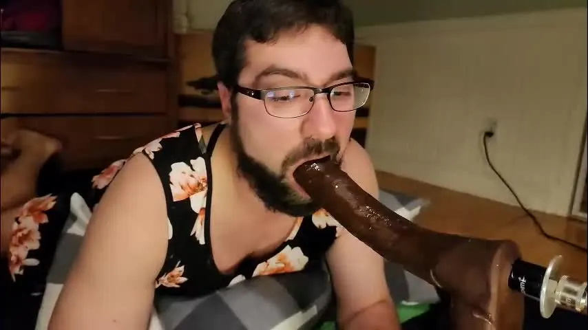 alexthycat — Alexthycat is looking for a master #slave #anal