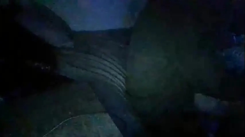 cory58596 — cory58596