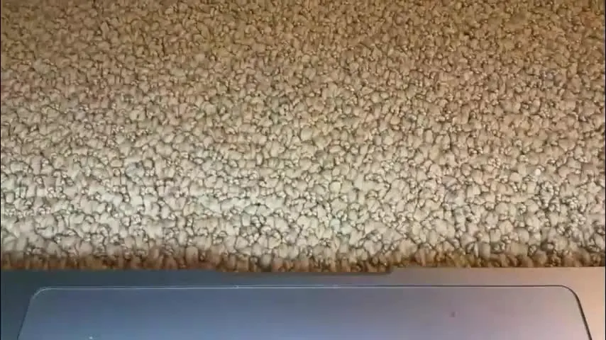 jdbbc9foru — jdbbc9foru