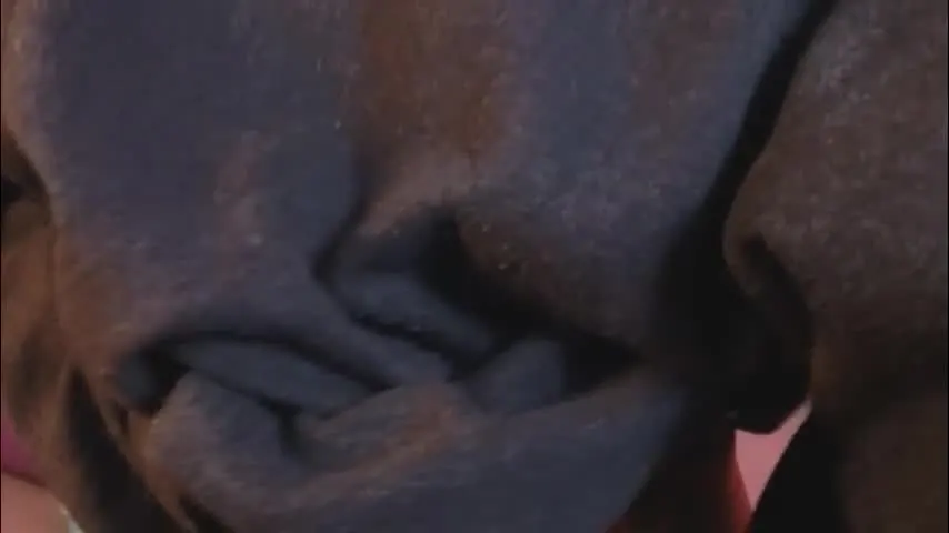 robinbennett — Lovense Lush on - Interactive Toy that vibrates with your Tips #lovense #young #bdsm #bigass #latina