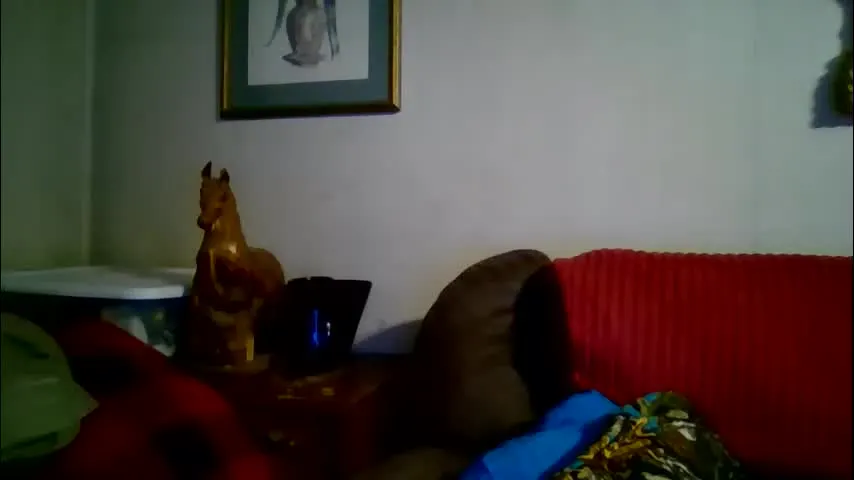 tnvols1968 — 428 consecutive days broadcasting