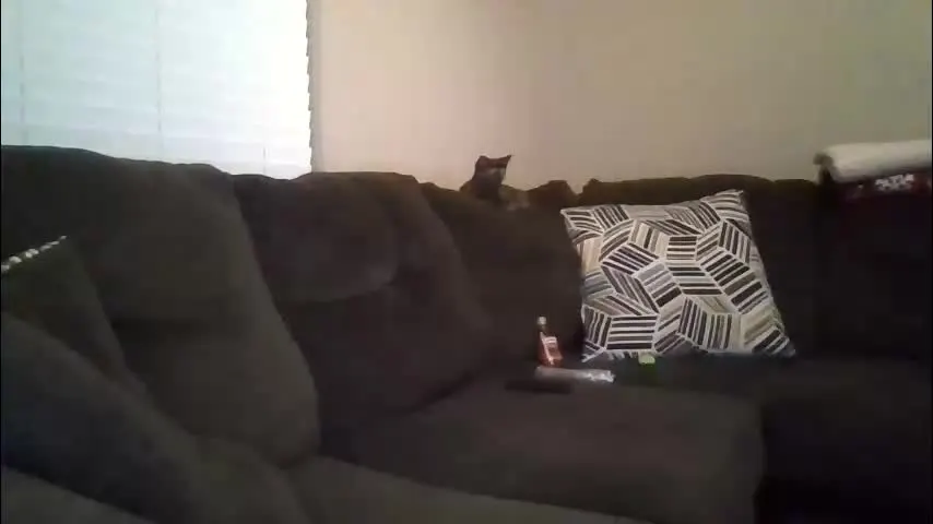 aliendick2274 — aliendick2274