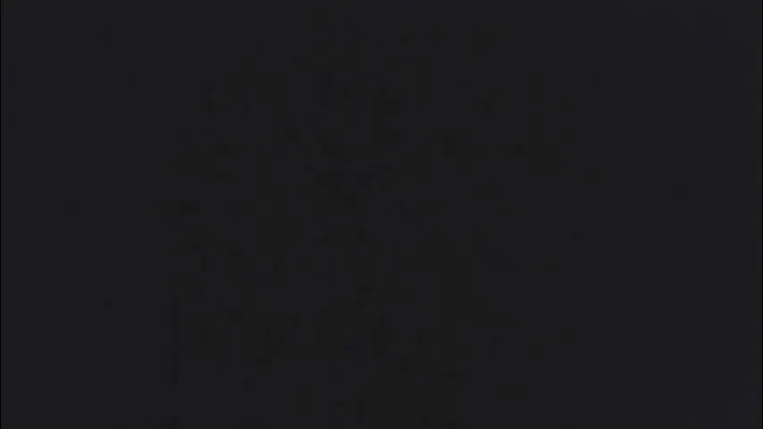 fransinape — fransinape