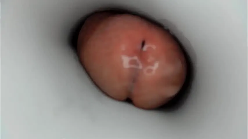 jkrubs665 — VIBRATE MY COCK CUM GOAL #new #milk #cumshow #LOVENSE #multipleorgasms [364 tokens remaining]