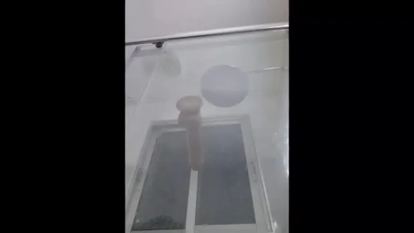 lordraziel290163 — Lordraziel290163's room