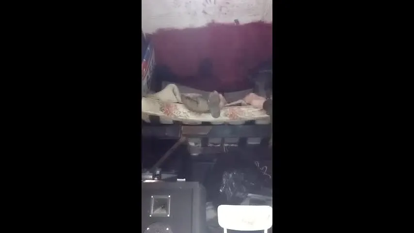 johnny51203 — johnny51203