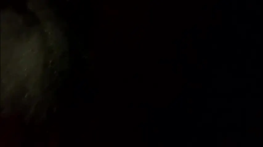 my_cockeye — my_cockeye