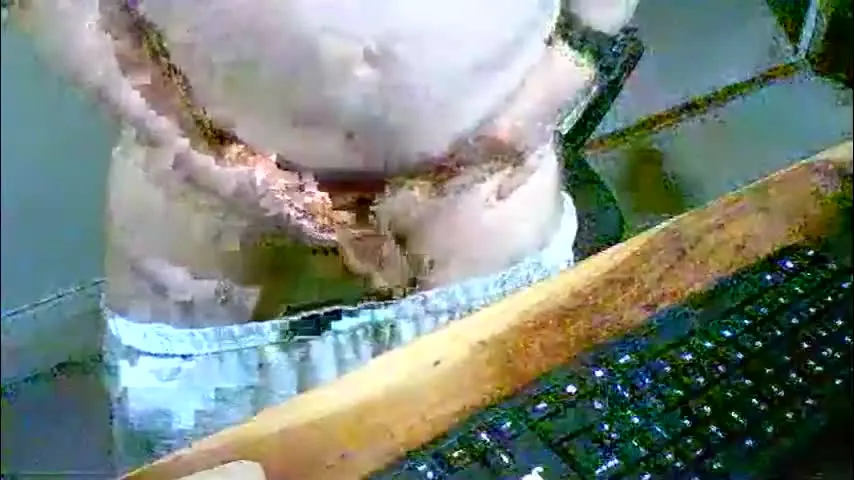 svenandremodel005 — svenandremodel005