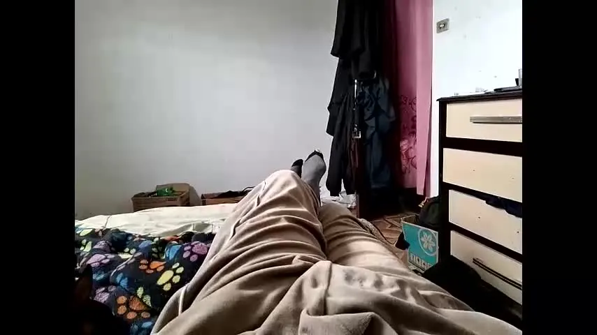 turgidphalus — Turgidphalus