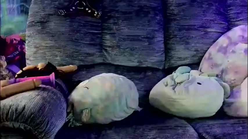 fairy_moan — bottom princess watching porn, TIP for my attention :) #skinny #trans #toys #panties #abs