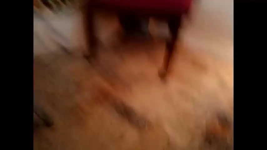 jaebaegoandslay — #smoke in private #bubblebutt #bigdick #trans #cum