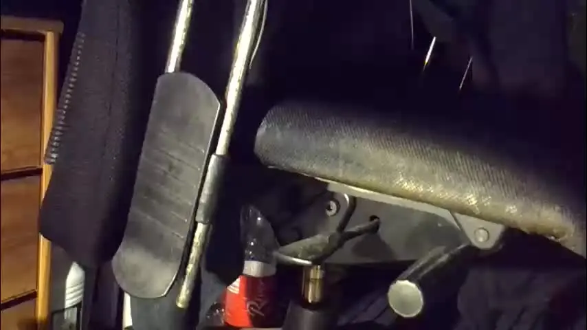 horse_dick9 — horse_dick9