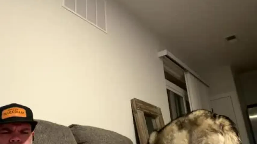 donnybrasco1713 — donnybrasco1713