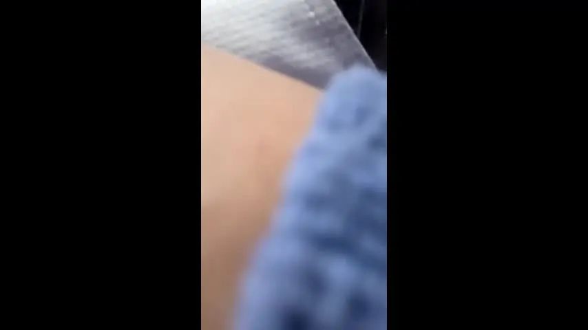 lifesdream — lifesdream