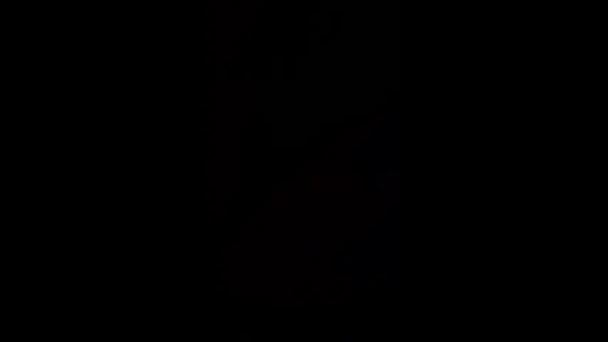 thegirl2024 — Thegirl