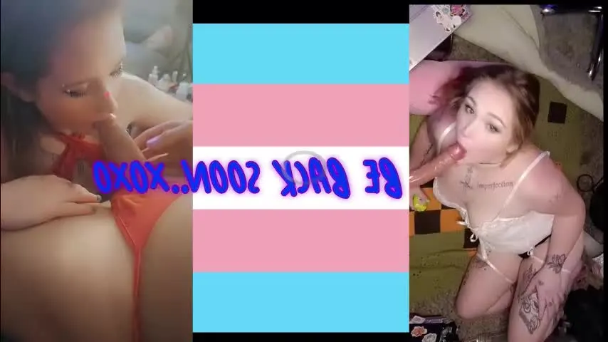 shygirlvibez — Hi I'M BACK & SINGLE! #i'mback #hornyaf #tattoos #pansexual #buttplug #sucking #dildo