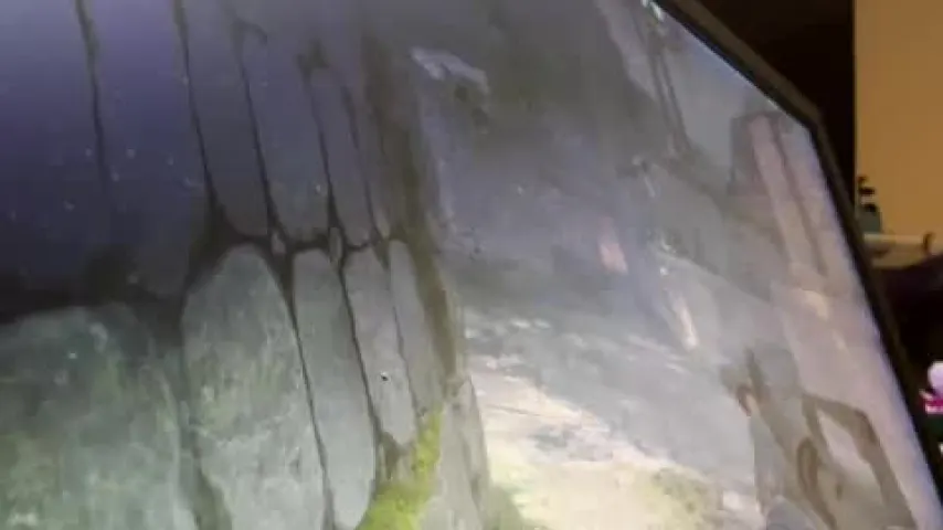 livnlinn — Liv N Linn