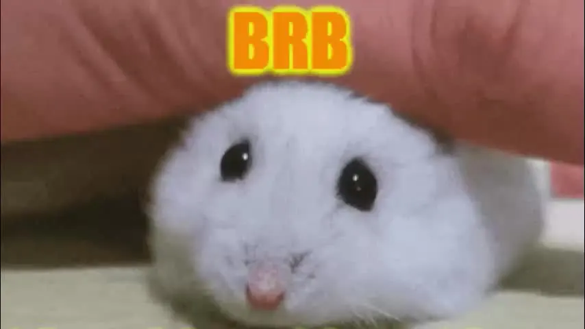 your_love_stasy — Stasy