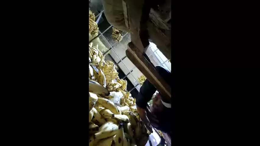 gerardo_santis — gerardo_santis