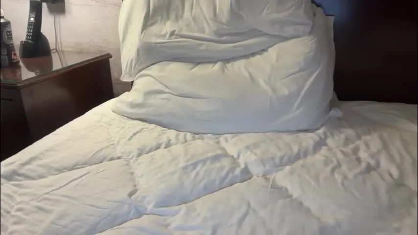 silkiebeard — silkiebeard