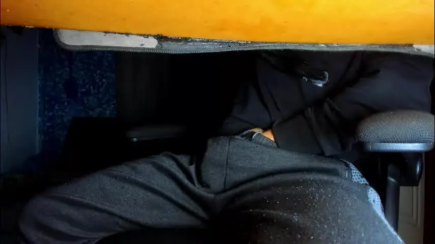 sebastian_foxter — Sebastian independent model  ✌